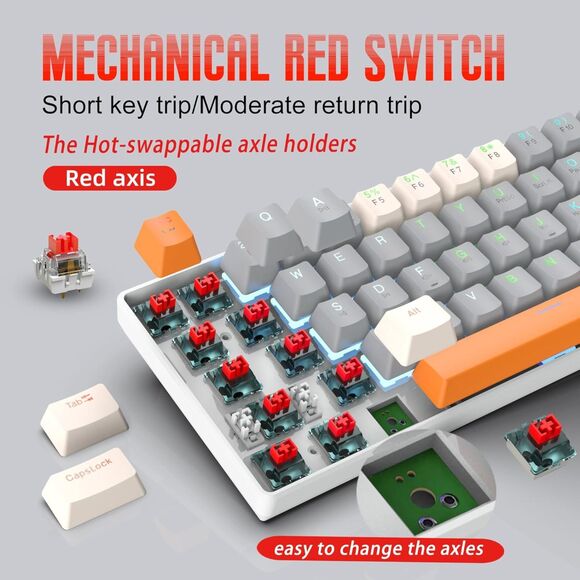 Mechanical Gaming Keyboard 60% Mini Wired Keyboard LED Backlit Compact 63 Keys - Picture 2 of 11